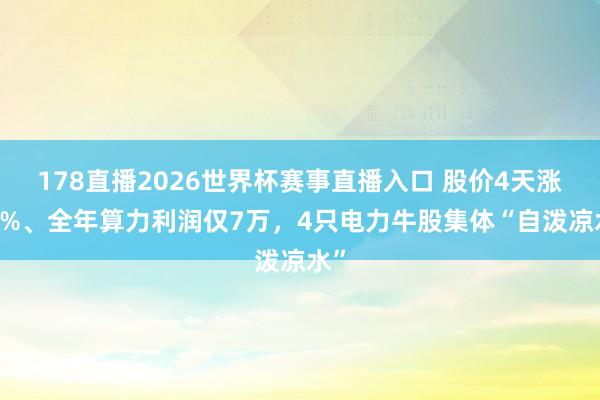 178直播2026世界杯赛事直播入口 股价4天涨40%、全年算力利润仅7万，4只电力牛股集体“自泼凉水”