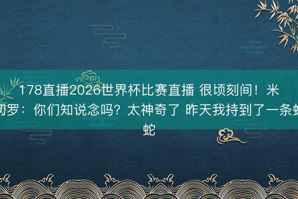 178直播2026世界杯比赛直播 很顷刻间！米切罗：你们知说念吗？太神奇了 昨天我持到了一条蛇