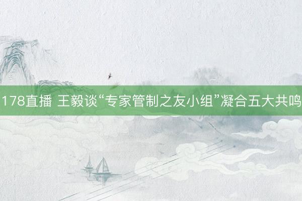 178直播 王毅谈“专家管制之友小组”凝合五大共鸣